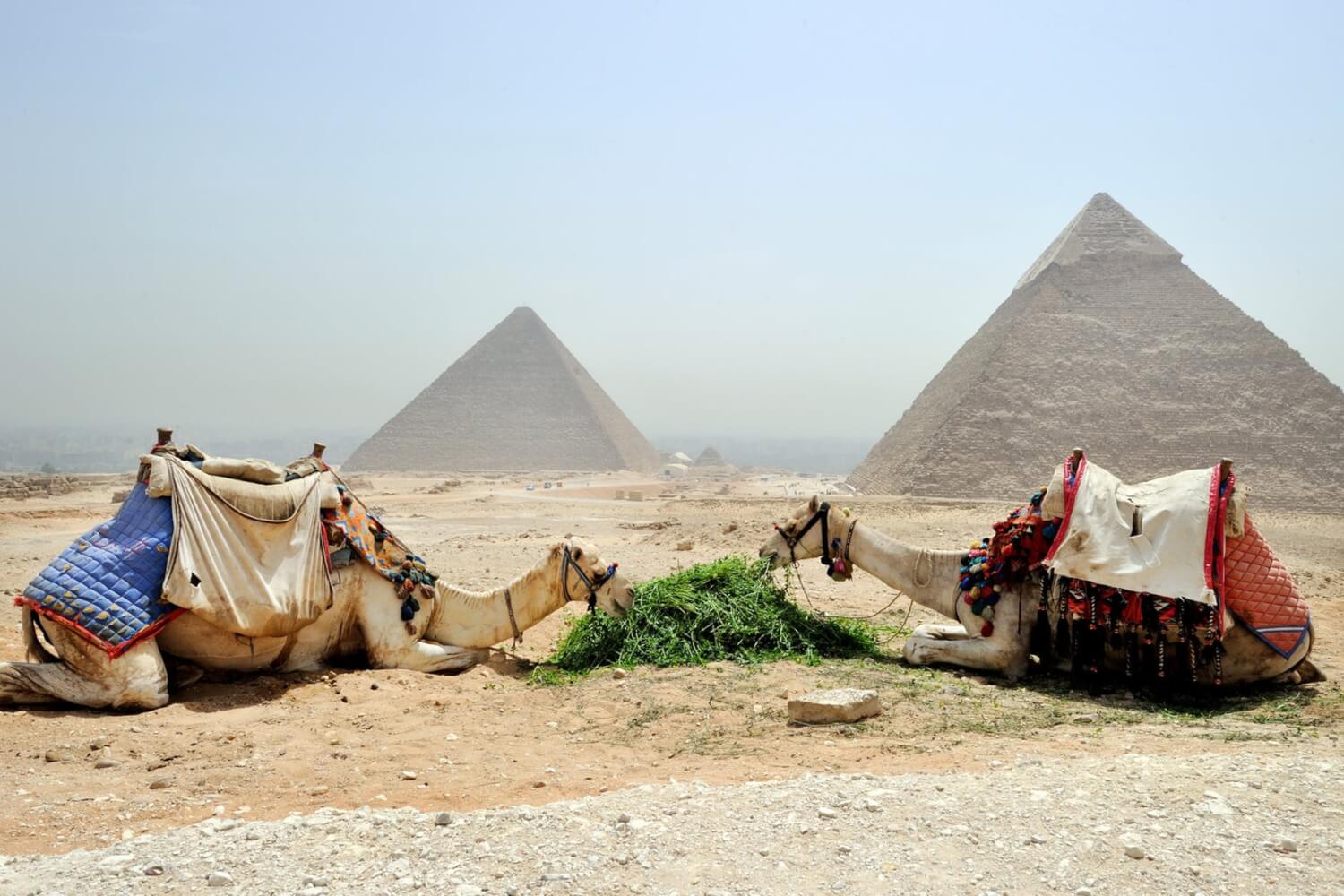 31 D Entre Elles Ont Gouverné L égypte Antique AUTOMASITES 31 D Entre Elles Ont Gouverné L égypte Antique AUTOMASITES
