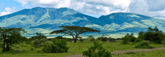 Visiter le Sénégal: 8 attraits magnifiques pour vivre l'expérience  sénégalaise