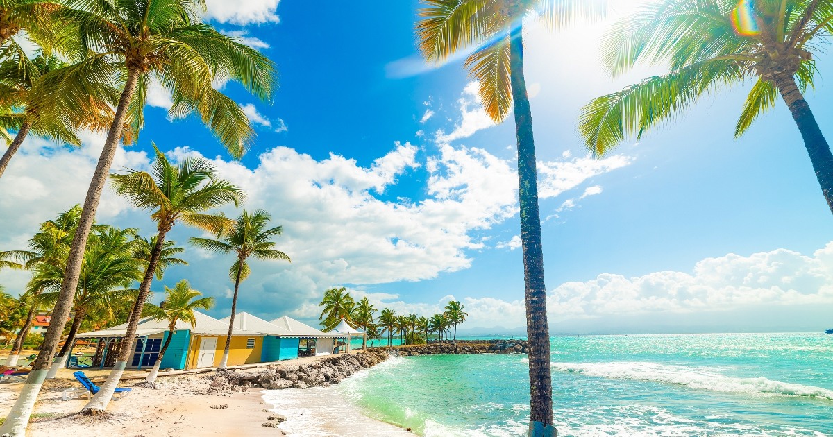 *Guadeloupe* Vols vers Pointe-à-Pitre pour ~480€ (40% de réduction)