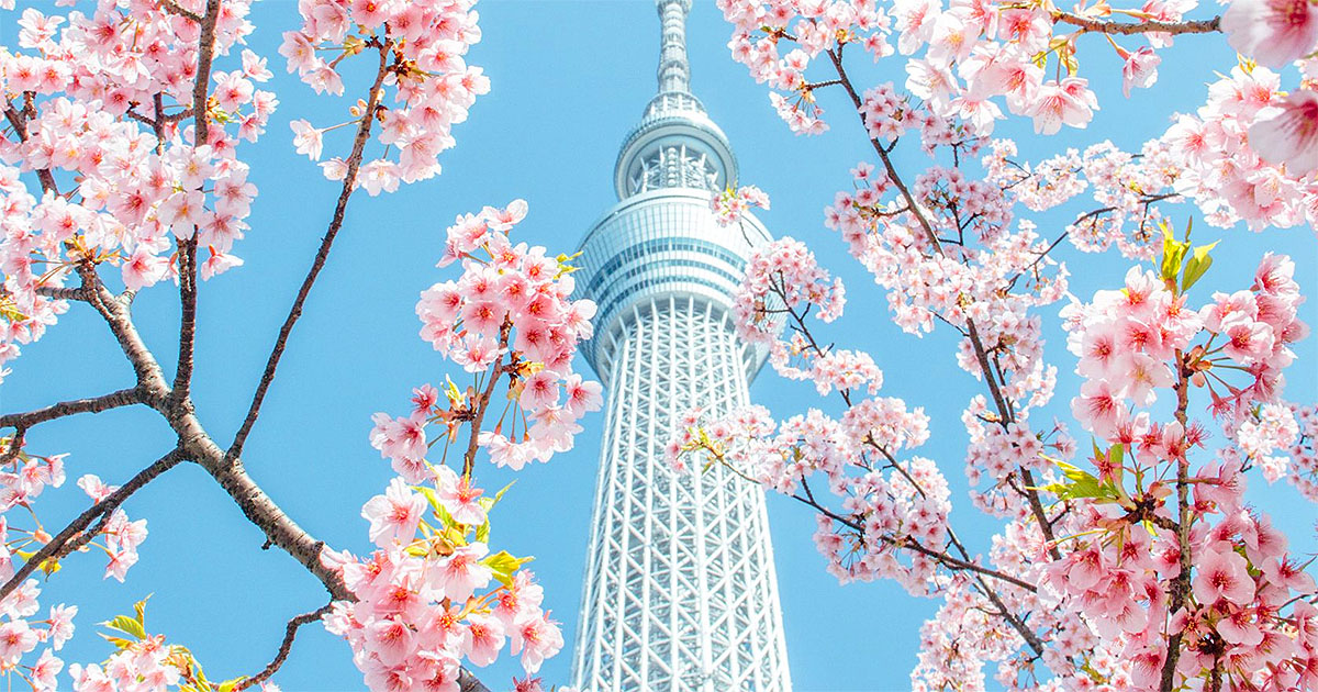 *Japon* Vols vers Tokyo pour ~510€ (45% de réduction)