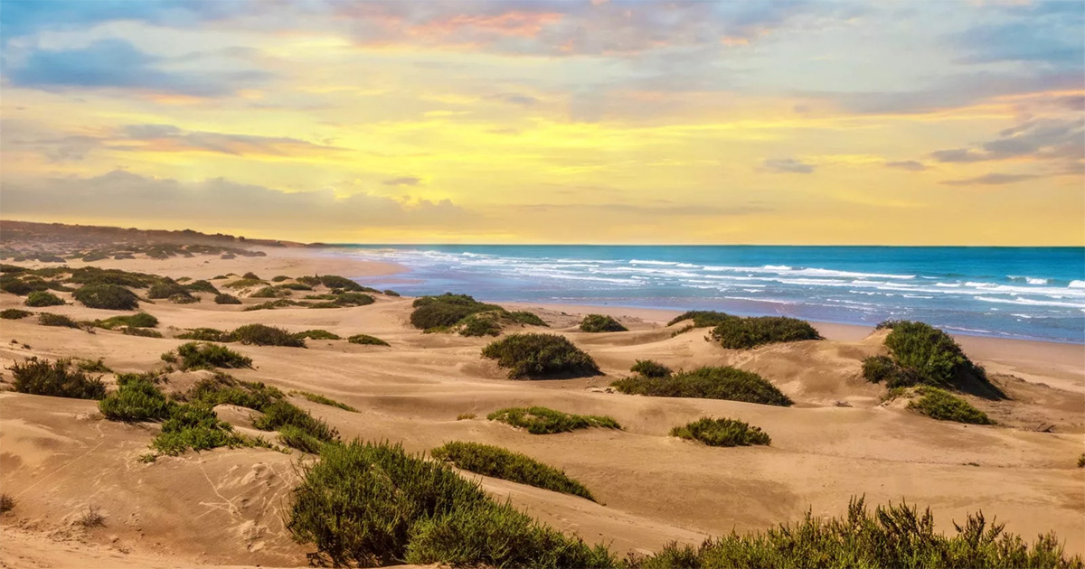 *Maroc* Vols vers Agadir pour ~50€ (72% de réduction)