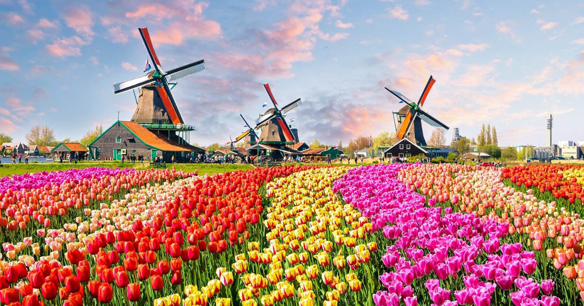 *Pays-Bas* Vols vers Amsterdam pour ~660$ (40% de rabais)