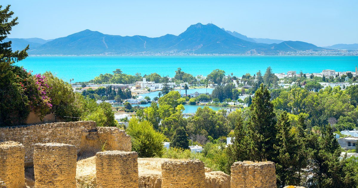 *Tunisie* Vols vers Tunis pour ~110€ (51% de réduction)
